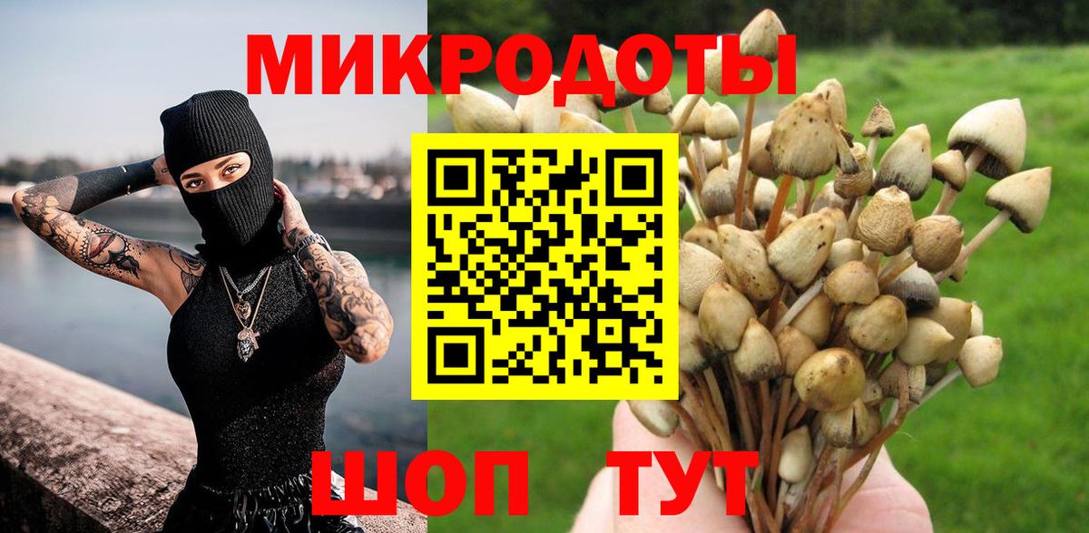 сколько стоит  Псилоцибиновые грибы Psilocybine cubensis  Вход с VPN  Тула 